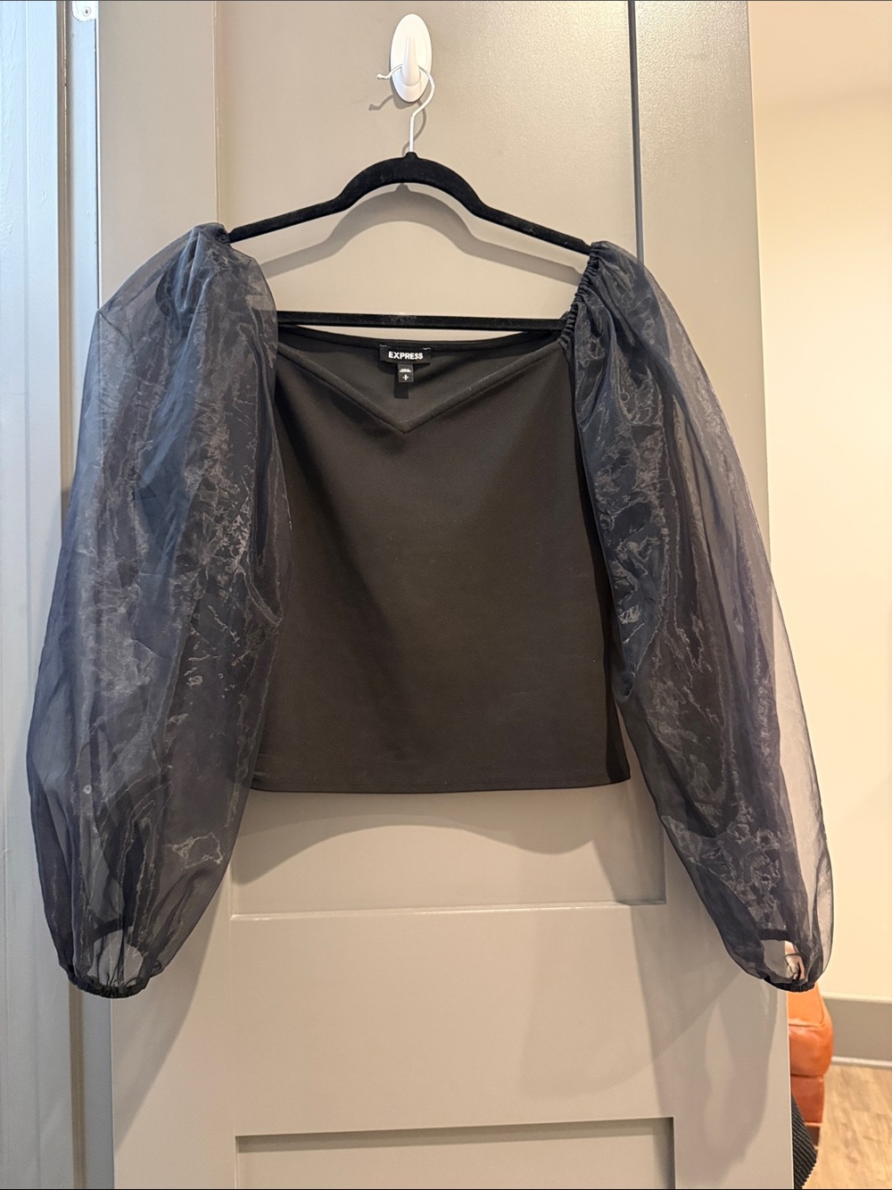 Express Black Top with Sheer Balloon Sleeves
